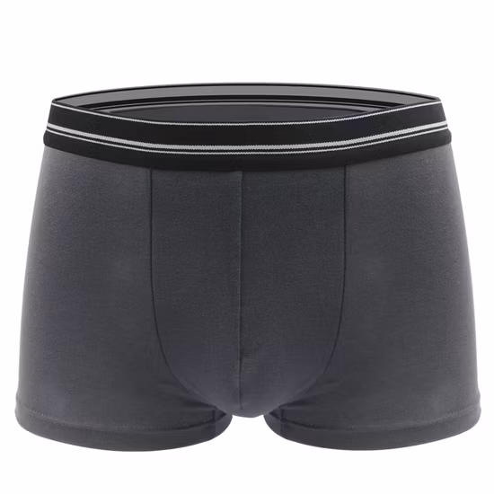 Custom High Quality Polyester Breathable Underwear Sport Men Underwear Elastic Custom Logo Waistband Mens Boxer Brief