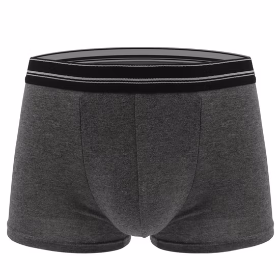 Custom High Quality Polyester Breathable Underwear Sport Men Underwear Elastic Custom Logo Waistband Mens Boxer Brief