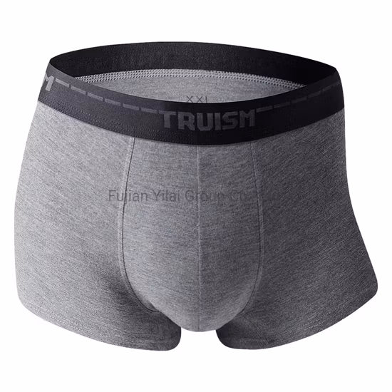 Custom High Quality Polyester Breathable Underwear Sport Men Underwear Elastic Custom Logo Waistband Mens Boxer Brief